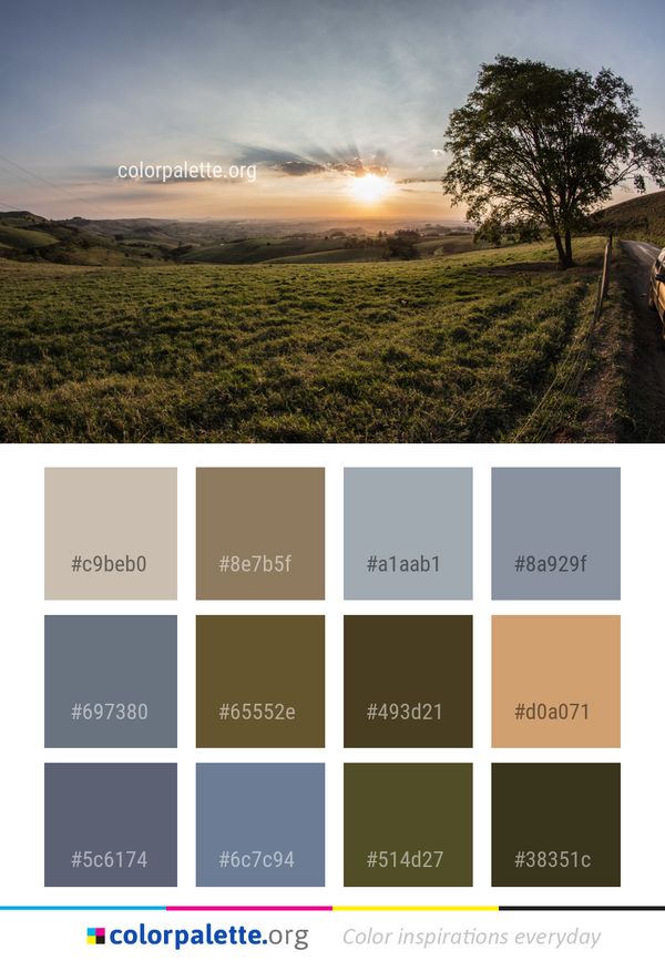 Sky Field Cloud Color Palette