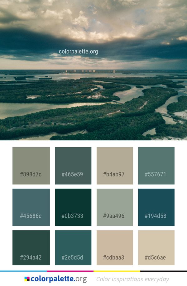 Sky Horizon Shore Color Palette