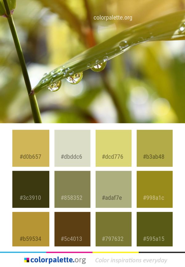 Water Dew Drop Color Palette