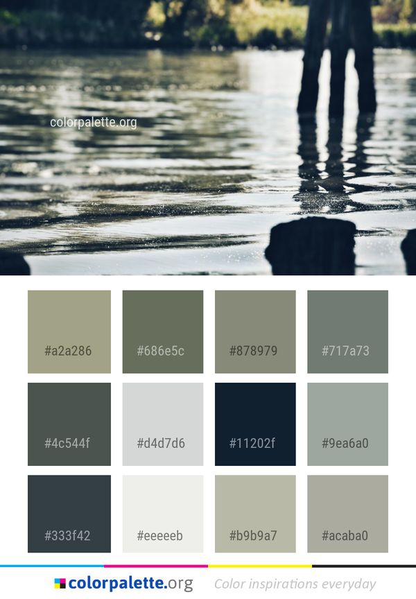 Water Reflection Tree Color Palette