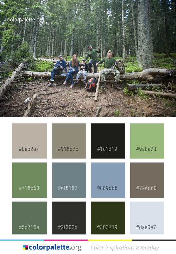 Wilderness Forest Woodland Color Palette