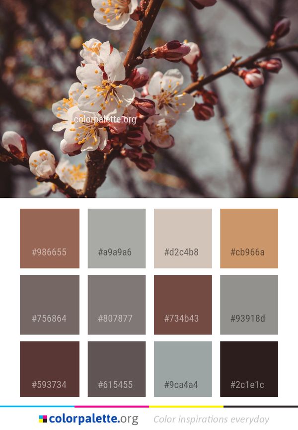 Blossom Spring Flora Color Palette