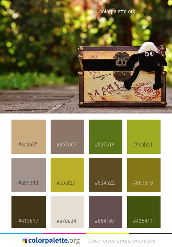 Colorful Color Palette