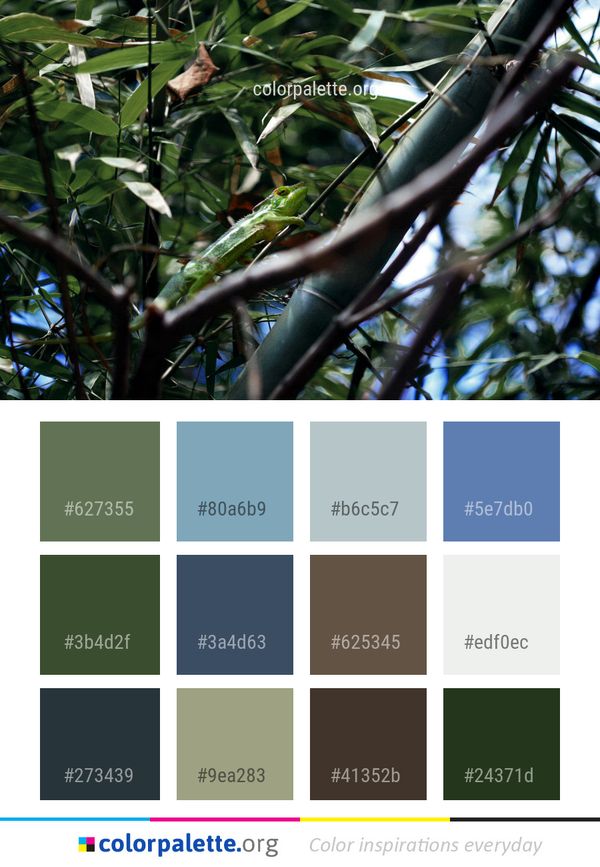 Fauna Tree Plant Color Palette