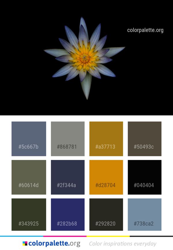 Flower Flora Yellow Color Palette