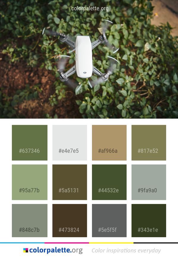 Grass Tree Plant Color Palette