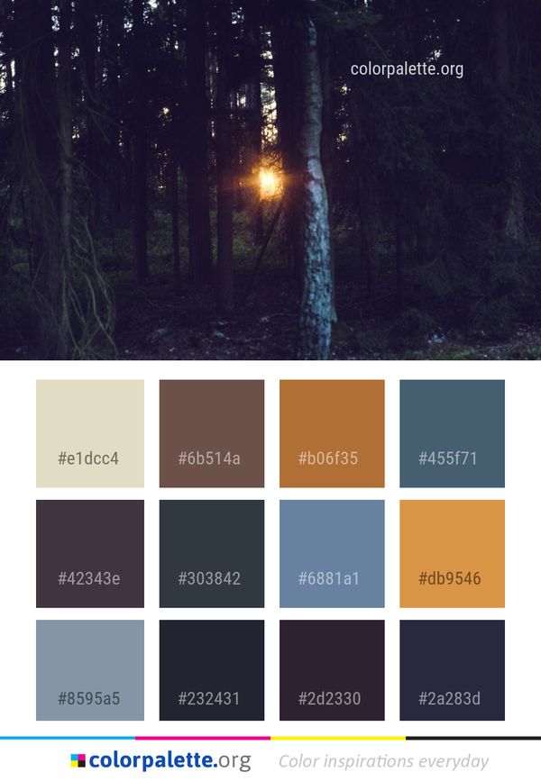 Nature Forest Night Color Palette