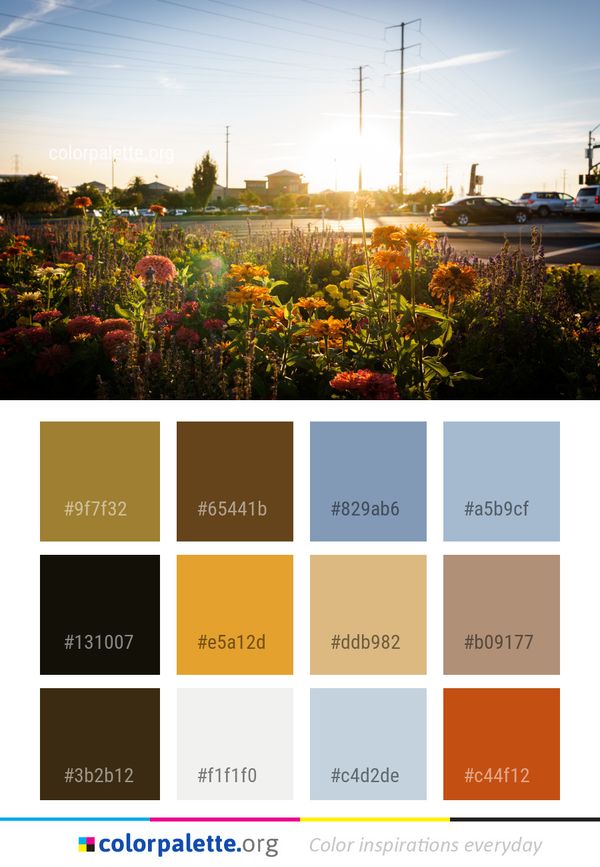 Sky Evening Morning Color Palette