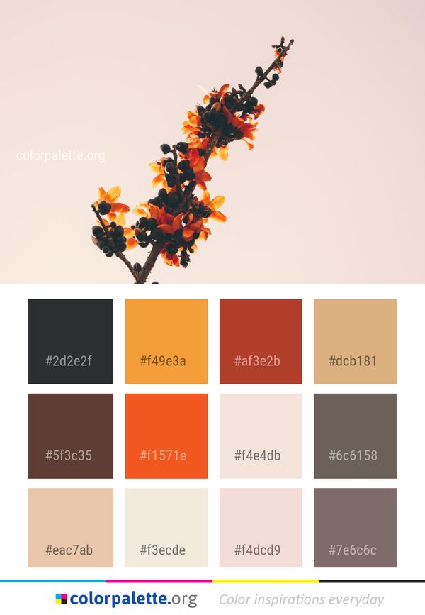 Colorful Color Palette