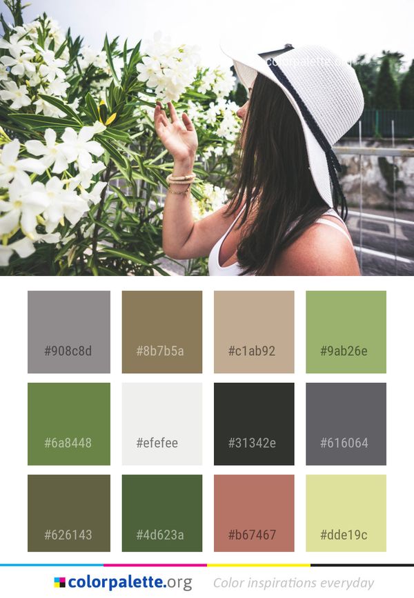 Flower Plant Flora Color Palette