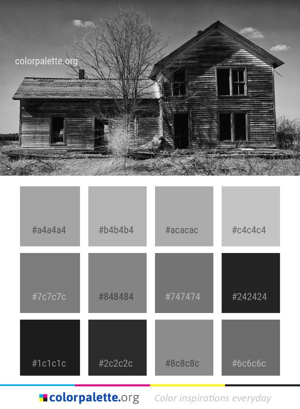 House Black And White Home Color Palette