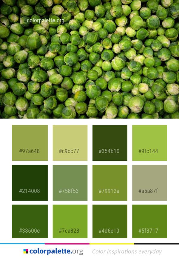Natural Foods Produce Vegetable Color Palette