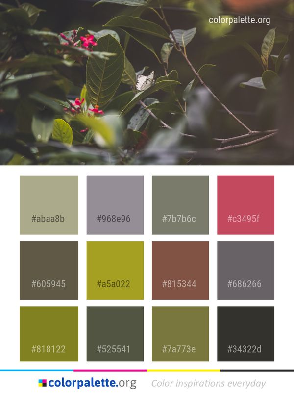 Plant Flora Leaf Color Palette