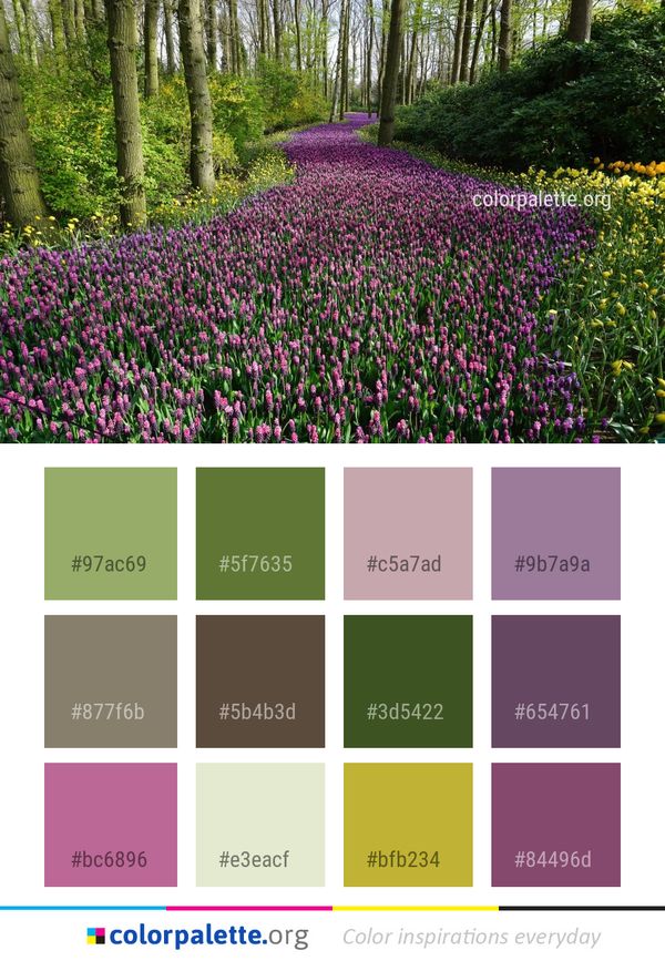 Plant Flower Vegetation Color Palette