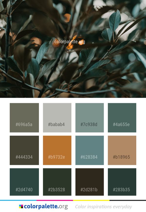 Plant Leaf Flora Color Palette