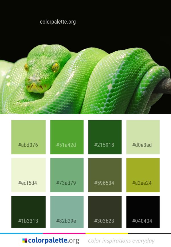 Reptile Green Scaled Color Palette