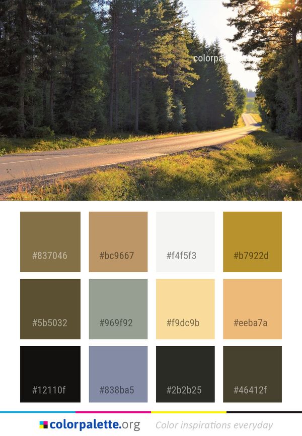Road Nature Path Color Palette