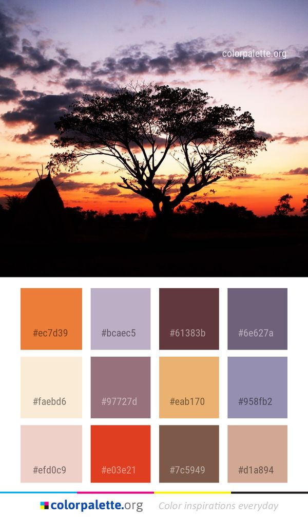 Sky Tree Savanna Color Palette