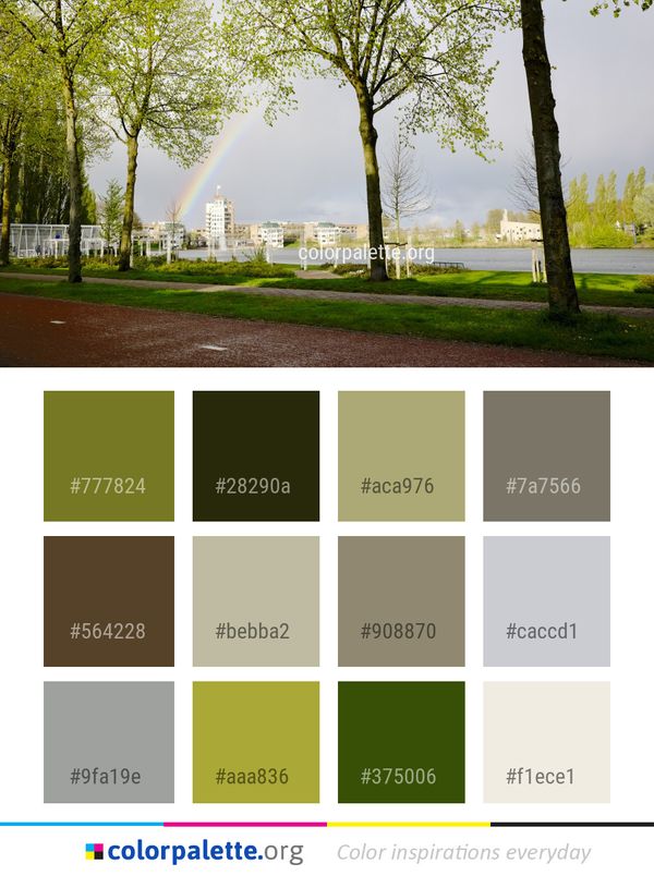 Tree Sky Park Color Palette