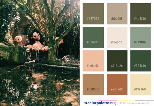 Water Nature Flamingo Color Palette