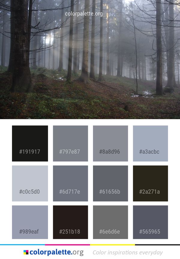 Forest Woodland Tree Color Palette