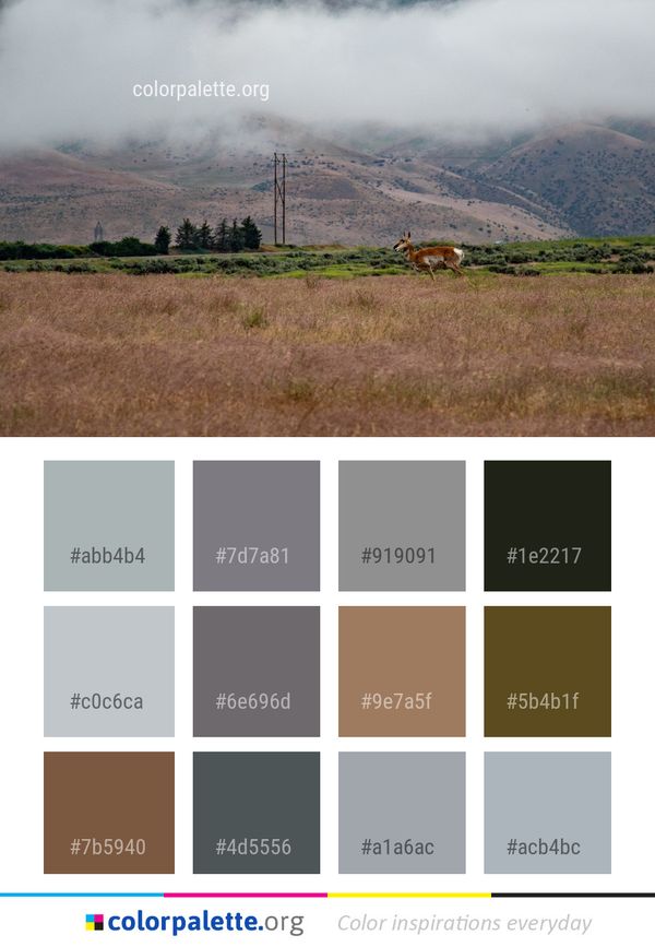 Highland Mountain Mountainous Landforms Color Palette