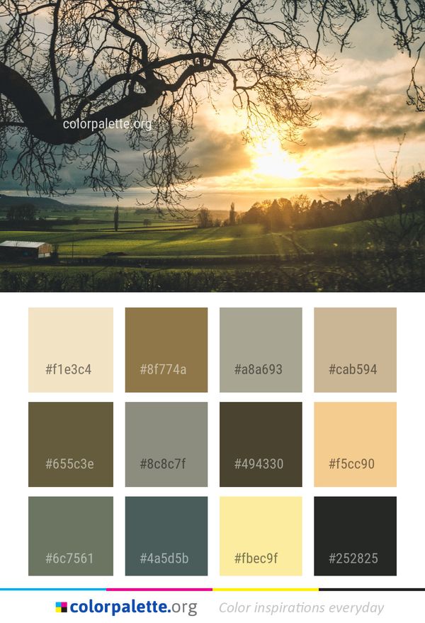 Nature Sky Tree Color Palette