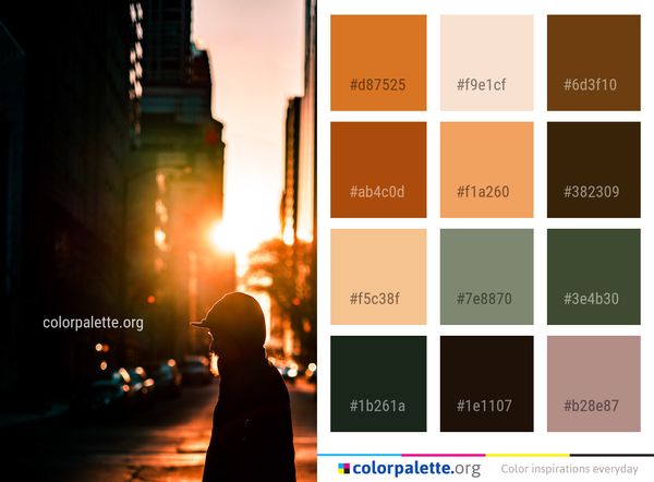 Night Light Darkness Color Palette
