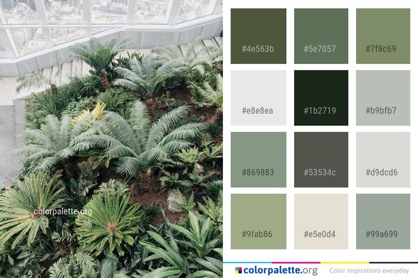 Plant Vegetation Arecales Color Palette