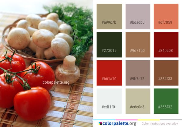 Vegetable Natural Foods Food Color Palette
