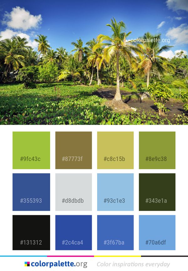 Vegetation Nature Tree Color Palette