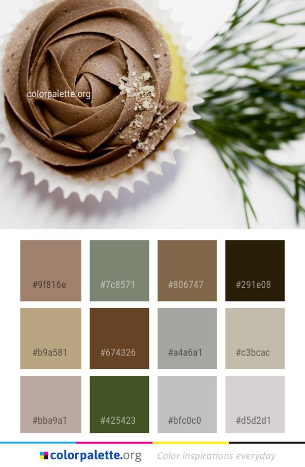 Dessert Chocolate Buttercream Color Palette