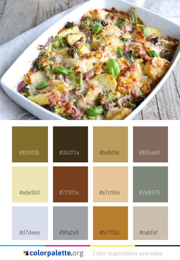 Dish Cuisine Food Color Palette
