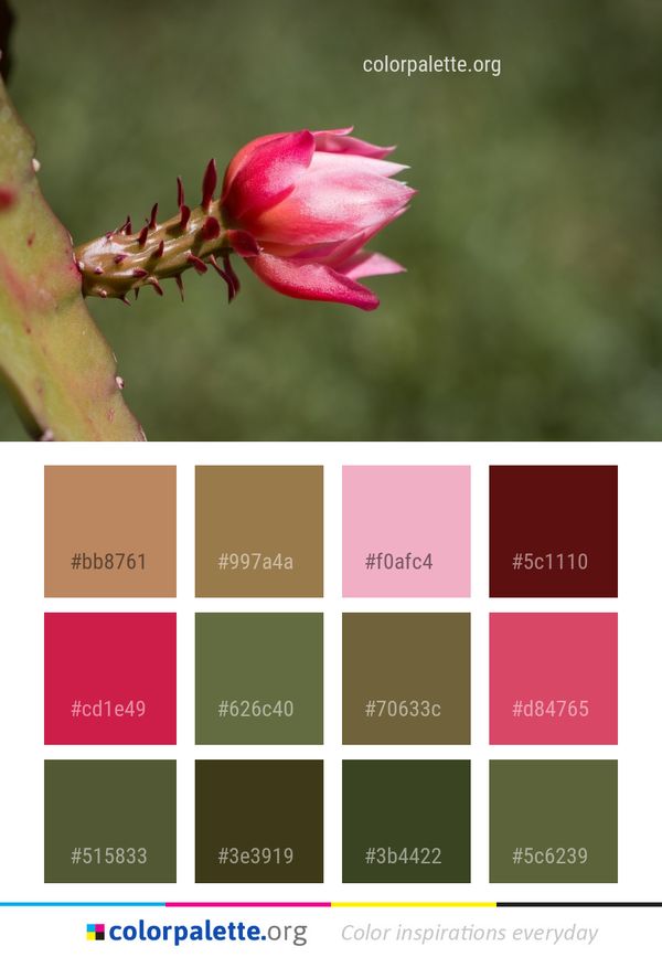 Flora Plant Flower Color Palette
