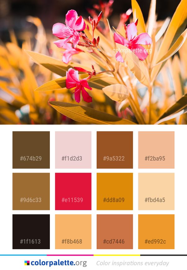 Flower Plant Flora Color Palette