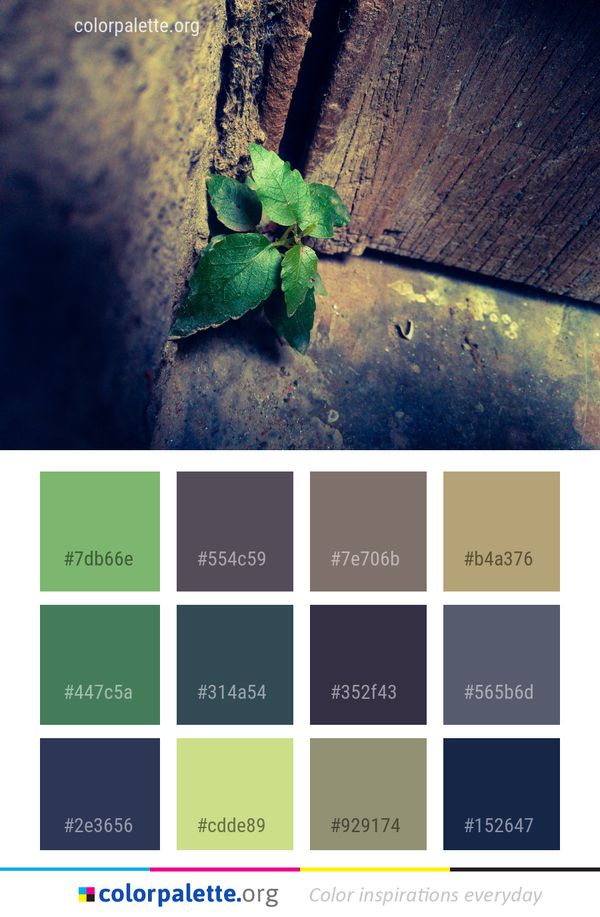 Green Leaf Water Color Palette