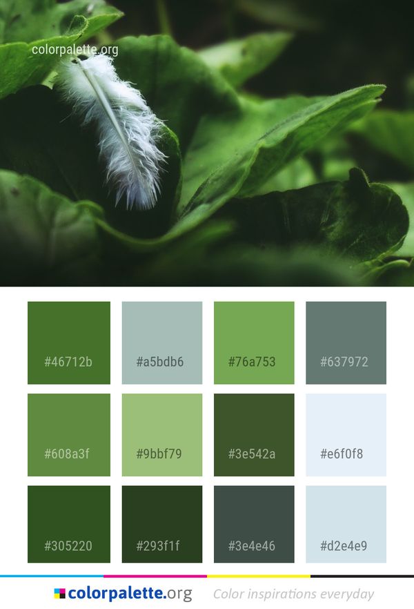 Leaf Close Up Macro Photography Color Palette