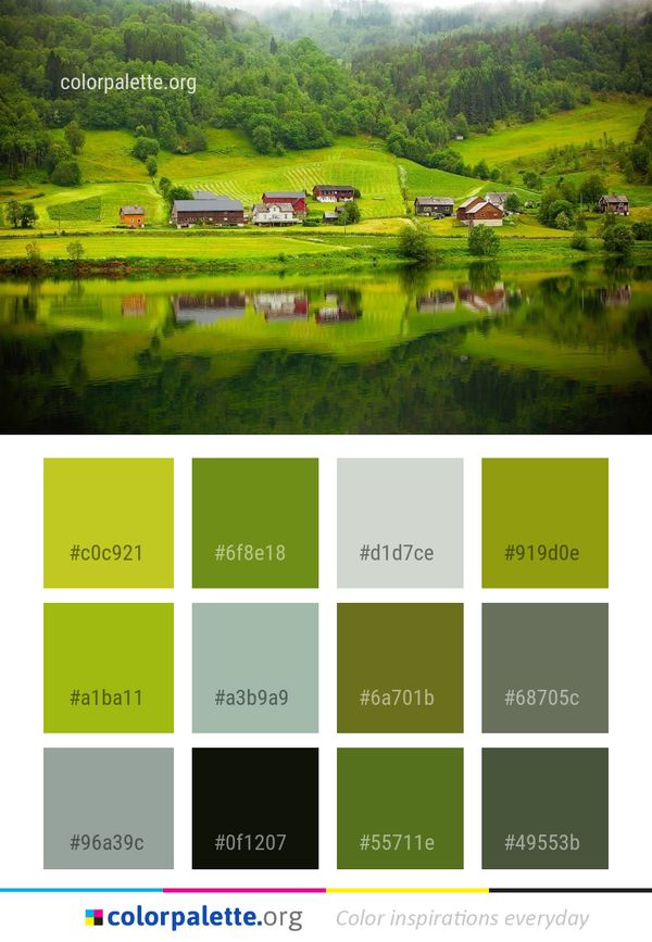 Nature Green Reflection Color Palette