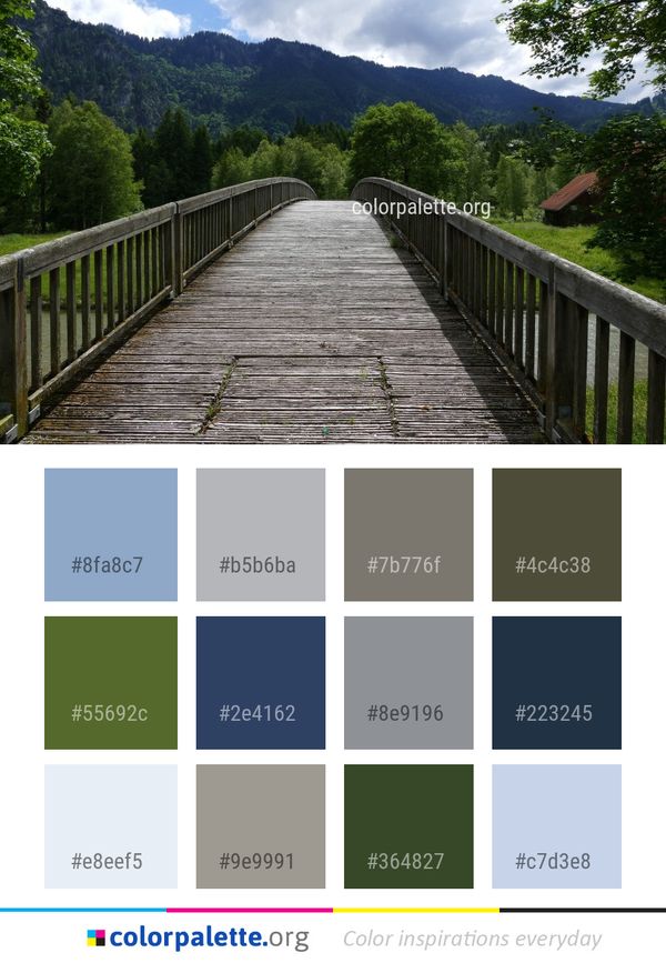 Nature Tree Bridge Color Palette