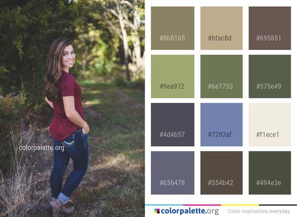 Photograph Nature Beauty Color Palette