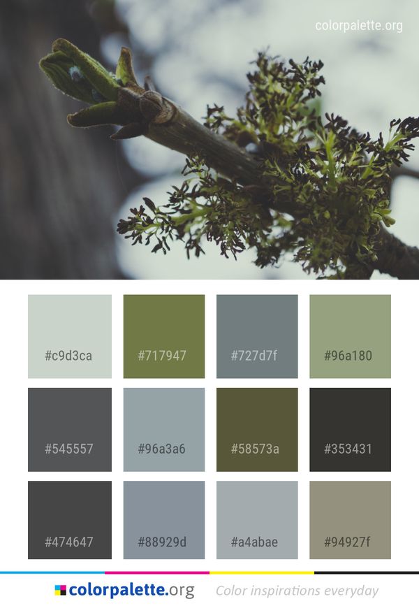 Plant Flora Leaf Color Palette