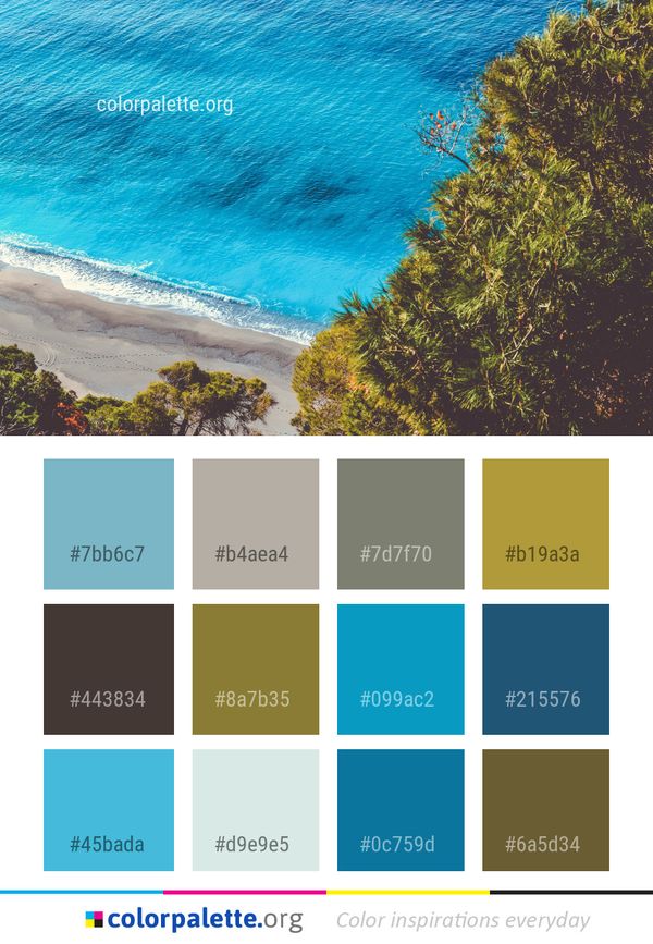 Sea Coast Body Of Water Color Palette