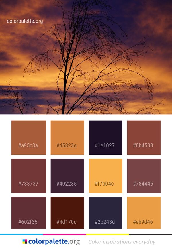 Sky Branch Cloud Color Palette