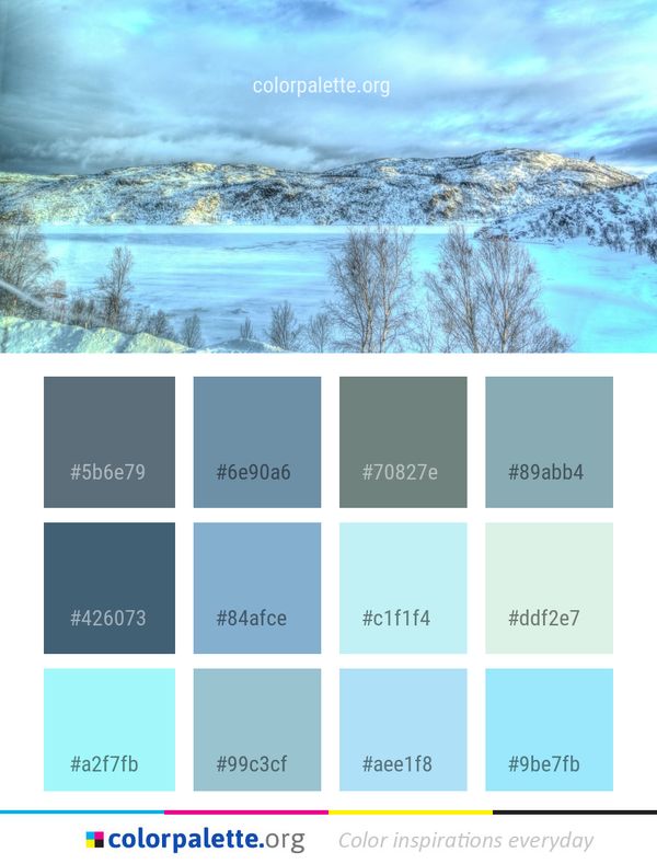 Sky Winter Snow Color Palette