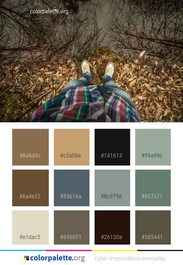 Tree Nature Woody Plant Color Palette