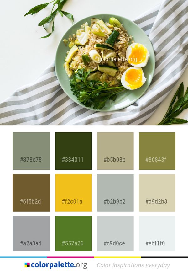 Dish Food Vegetarian Color Palette