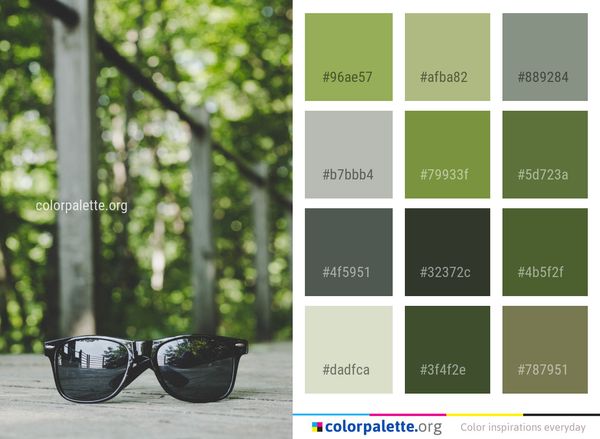 Eyewear Glasses Vision Care Color Palette