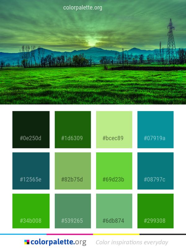 Grassland Nature Sky Color Palette