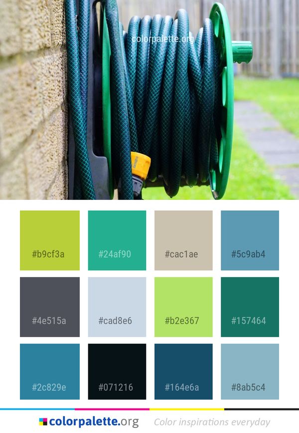 Green Grass Net Color Palette