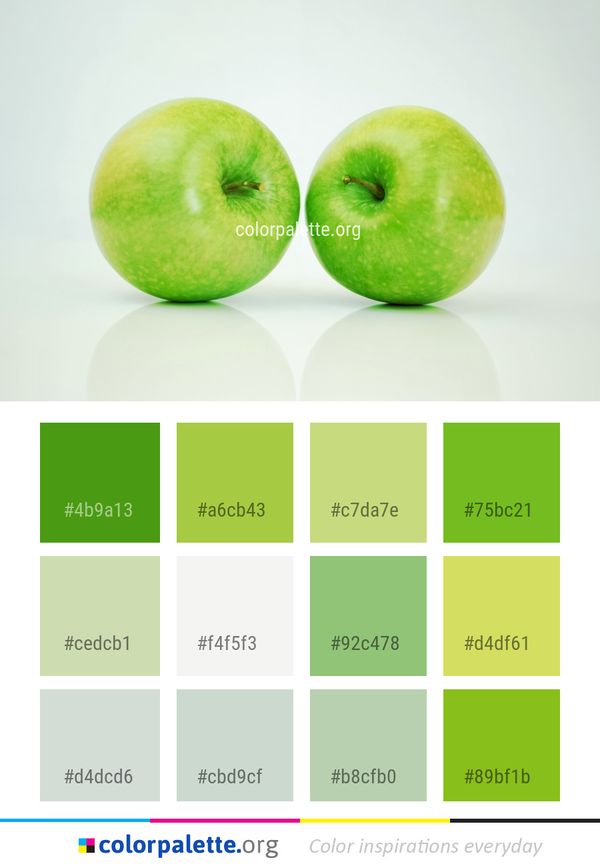 Green Produce Fruit Color Palette